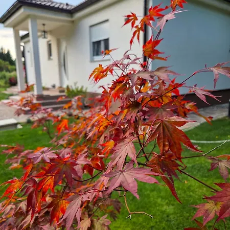 House4seasons Vila Lič