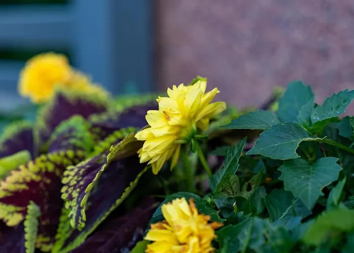 别墅 House4seasons