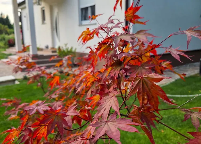House4seasons Vila Lic