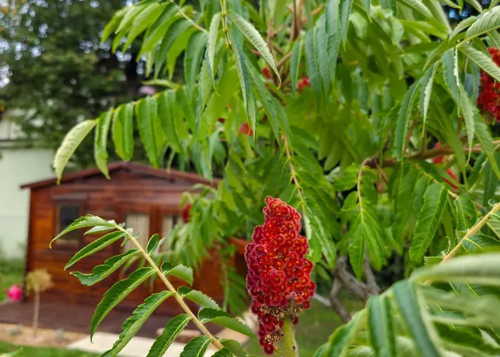 Vila House4seasons